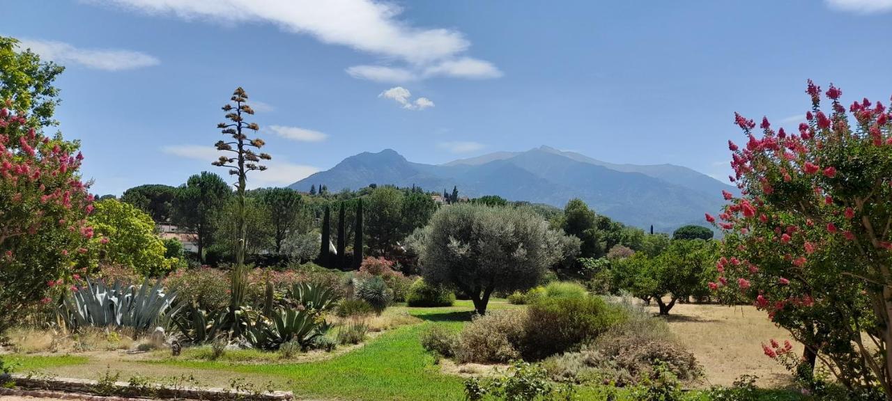 Castell Rose Bed & Breakfast Prades  Eksteriør bilde