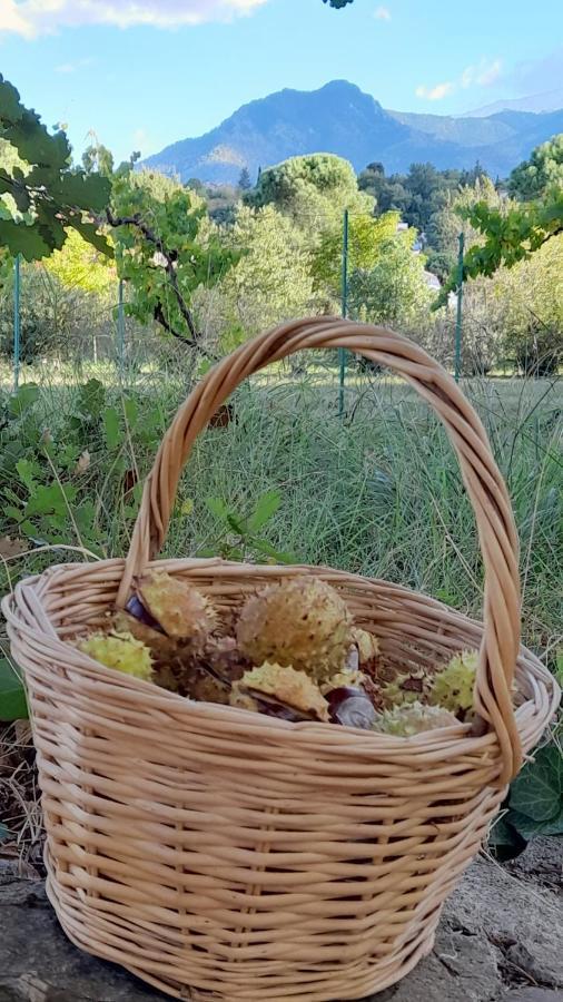 Castell Rose Bed & Breakfast Prades  Eksteriør bilde