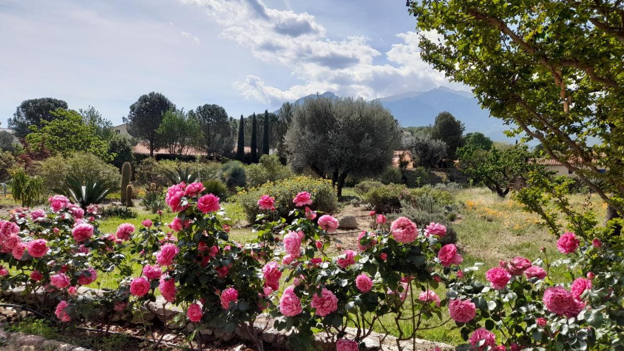 Castell Rose Bed & Breakfast Prades  Eksteriør bilde