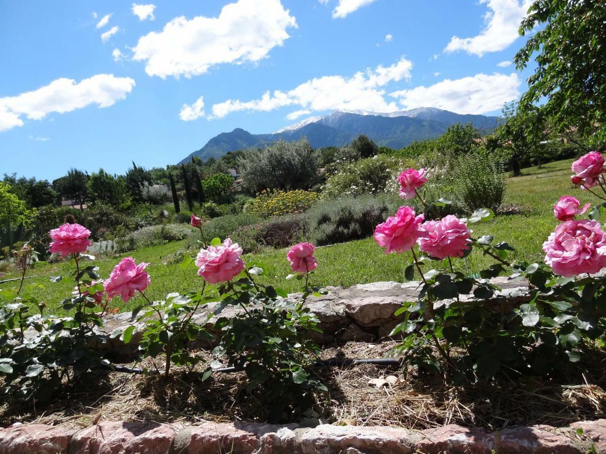 Castell Rose Bed & Breakfast Prades  Eksteriør bilde